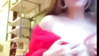 الجنس مجنون شقراء ناضجة زوجته افلام سكس محارم مترجم الملاعين نفسها مع لعبة الجنس